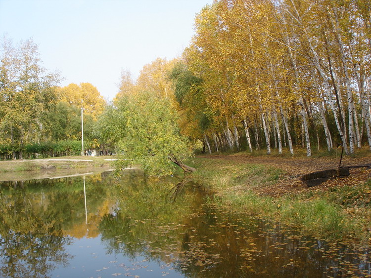 Ивановка. пруд