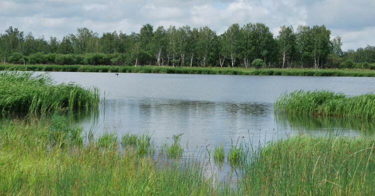 Озеро Попова