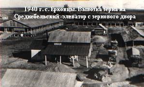 1940 г. с. Ерковцы. Вывозка зерна на Среднебельский элеватор