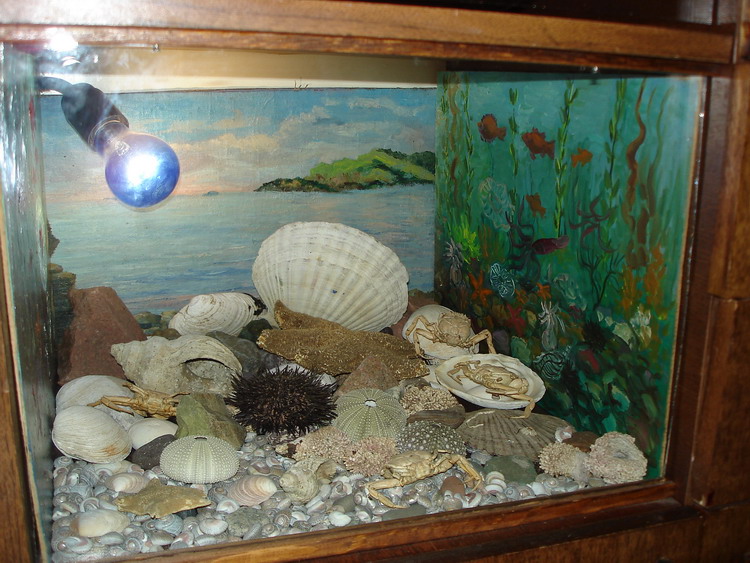 Самодельный аквариум